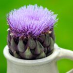 Tisana al carciofo in una tazza, con foglie di carciofo sul tavolo, evidenziando i benefici depurativi.