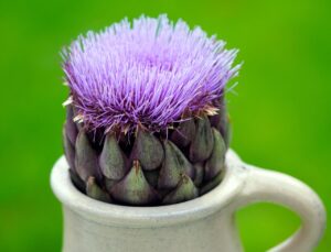 Tisana al carciofo in una tazza, con foglie di carciofo sul tavolo, evidenziando i benefici depurativi.